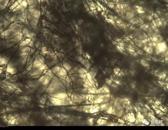 /ueditor/jsp/upload/image/20200302/1583115553727051887.jpg /ueditor/jsp/upload/image/20200302/1583115553727051887.jpg